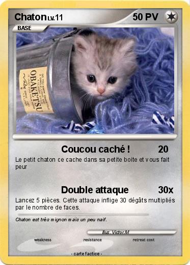 Pokemon Chaton