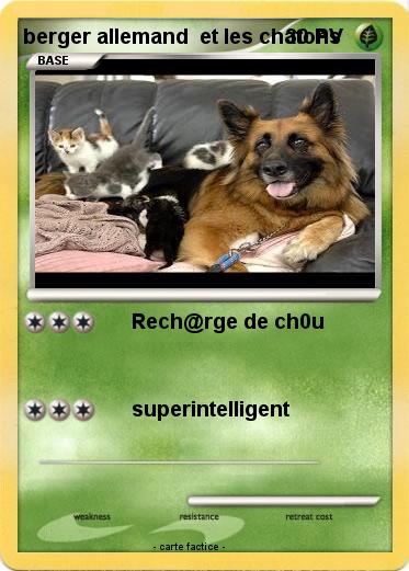 Pokemon berger allemand  et les chatons
