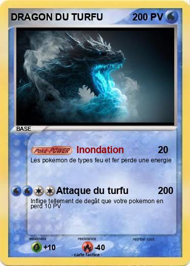 Pokemon DRAGON DU TURFU