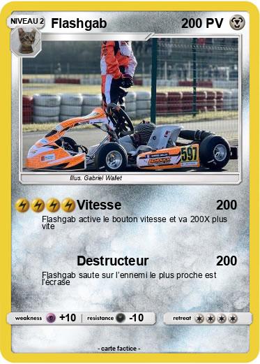 Pokemon Flashgab