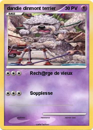 Pokemon dandie dinmont terrier