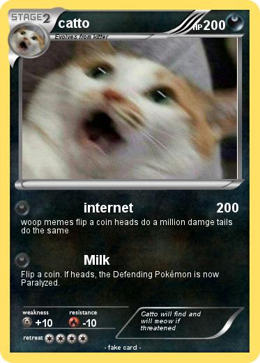 Pokemon catto