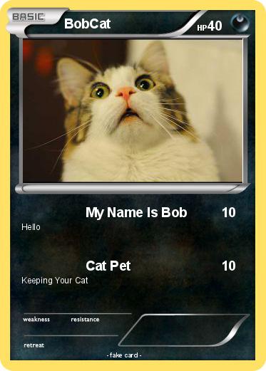 Pokemon BobCat