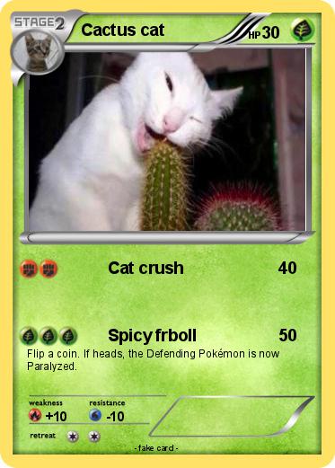 Pokemon Cactus cat