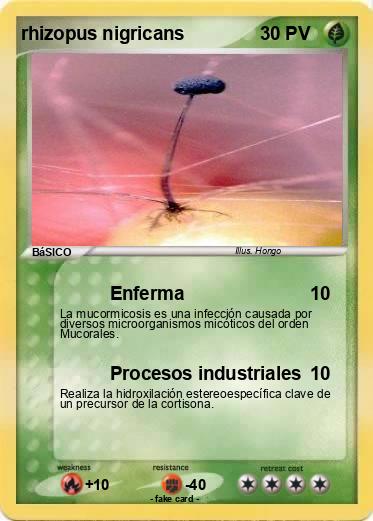 Pokemon rhizopus nigricans