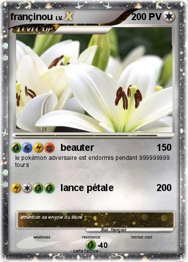 Pokemon françinou