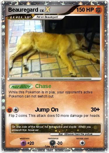 Pokemon Beauregard