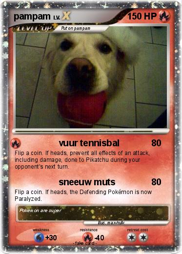 Pokemon pampam