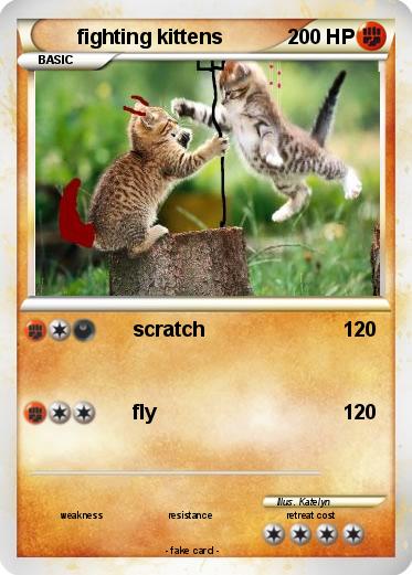 Pokemon fighting kittens