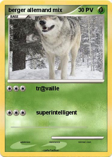 Pokemon berger allemand mix