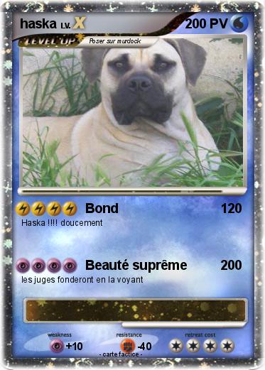Pokemon haska