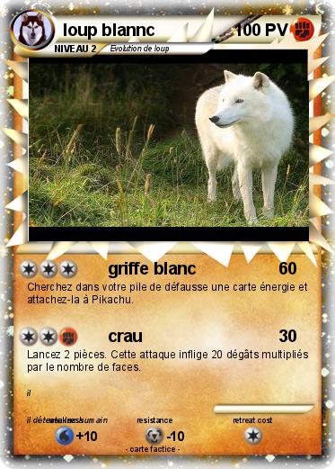 Pokemon loup blannc
