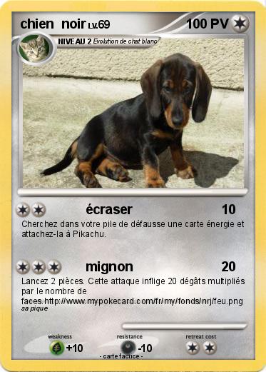 Pokemon chien  noir