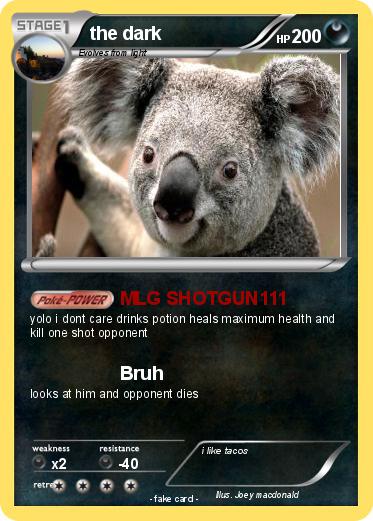 Pokemon the dark