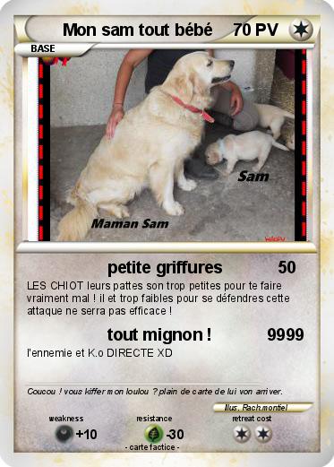 Pokemon Mon sam tout bébé