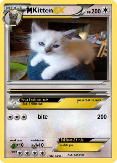 Pokemon Kitten