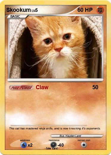 Pokemon Skookum
