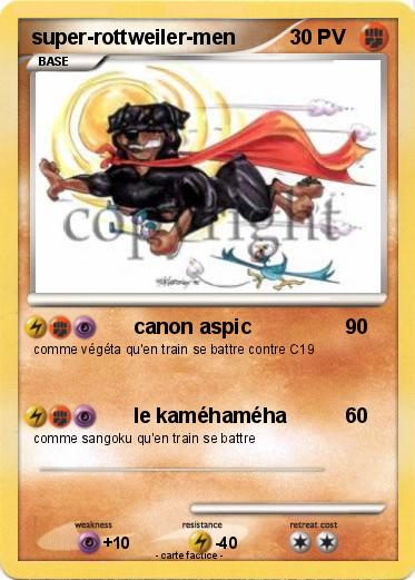Pokemon super-rottweiler-men
