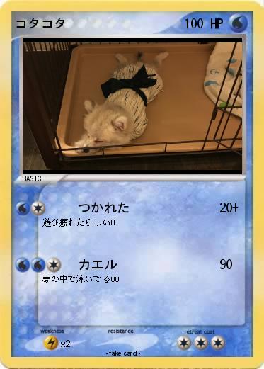 Pokemon コタコタ