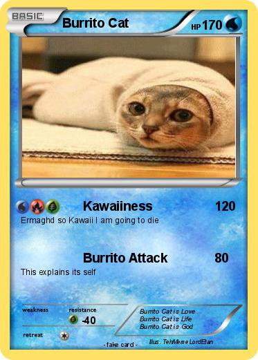 Pokemon Burrito Cat