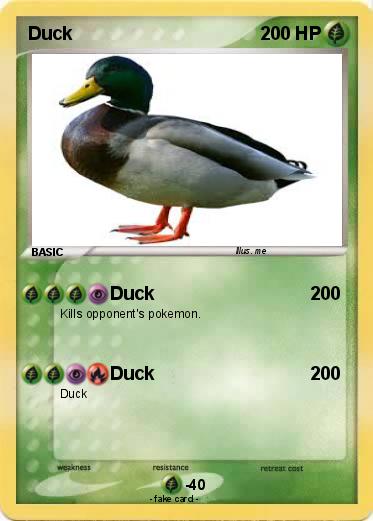 Pokemon Duck