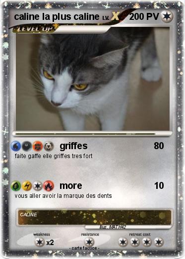 Pokemon caline la plus caline