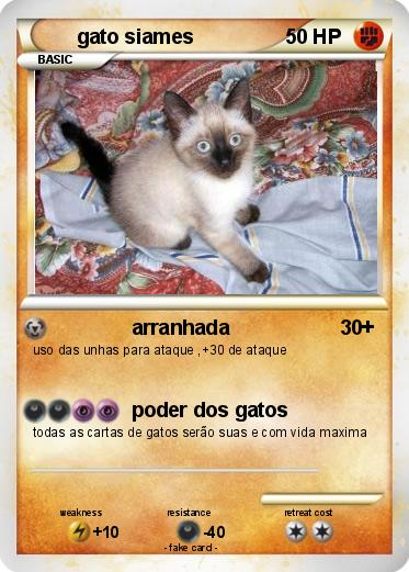 Pokemon gato siames
