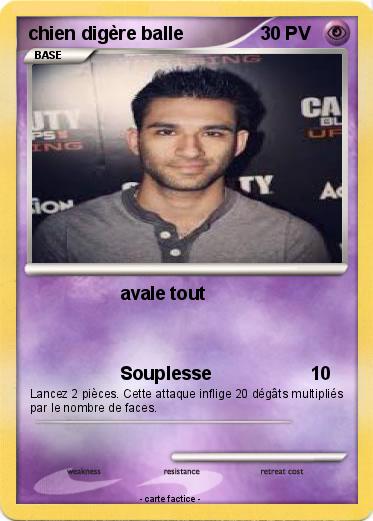 Pokemon chien digère balle