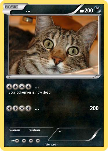 Pokemon ...