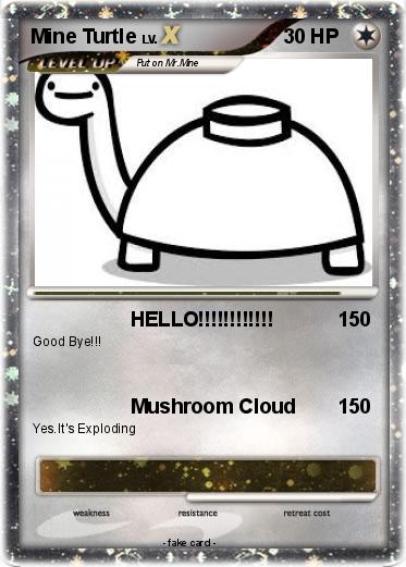 Pokemon Mine Turtle