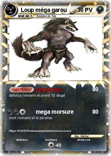Pokemon Loup méga garou