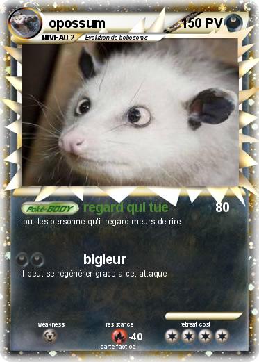 Pokemon opossum