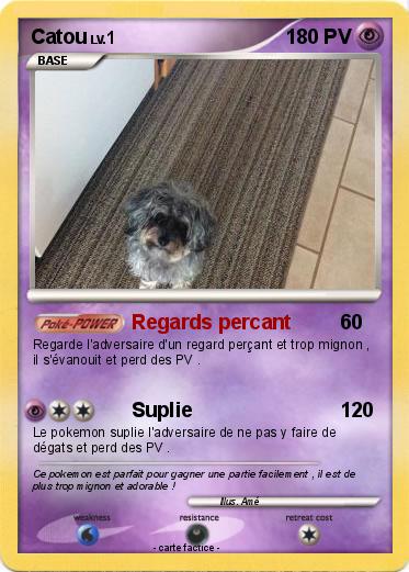 Pokemon Catou