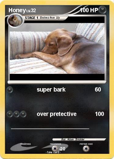Pokemon Honey