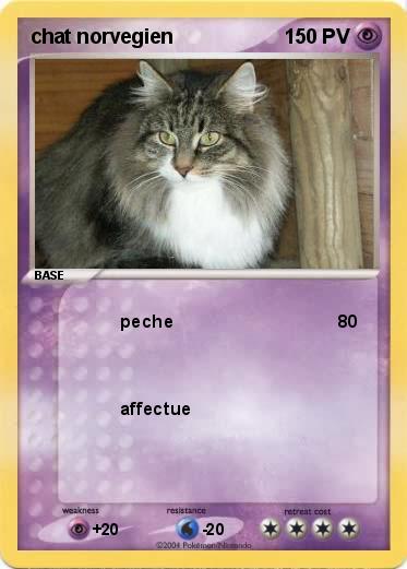 Pokemon chat norvegien