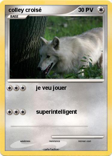 Pokemon colley croisé