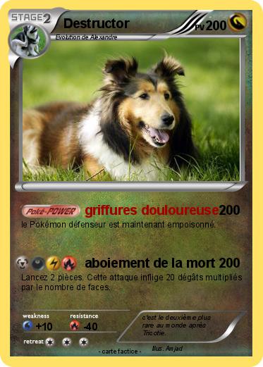 Pokemon Destructor