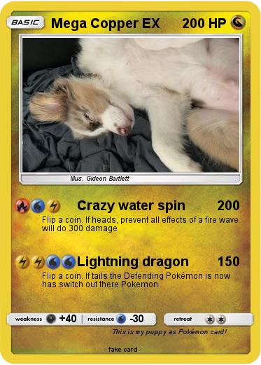 Pokemon Mega Copper EX