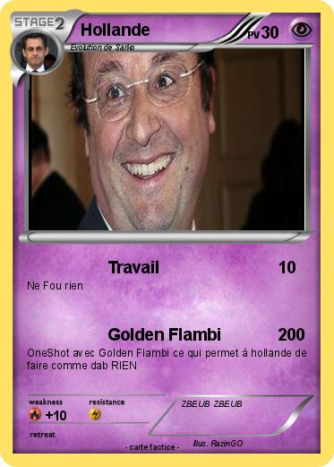 Pokemon Hollande