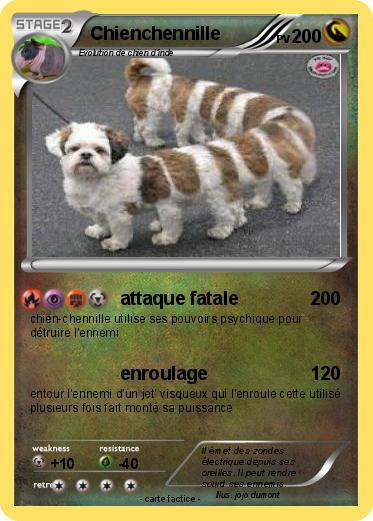 Pokemon Chienchennille