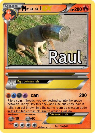 Pokemon r a u l