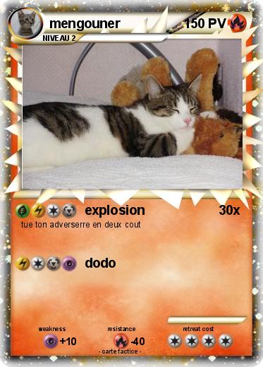 Pokemon mengouner