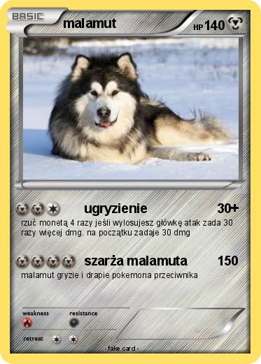 Pokemon malamut