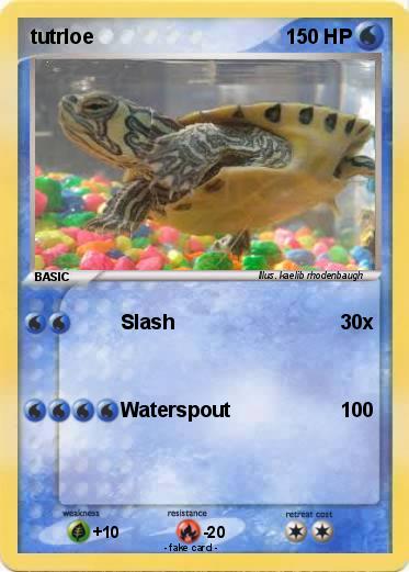 Pokemon tutrloe