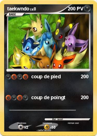 Pokemon taekwndo