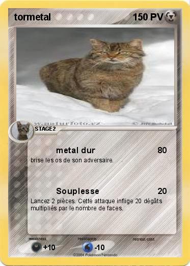 Pokemon tormetal