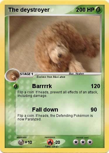 Pokemon The deystroyer