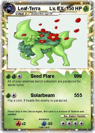 Pokemon Leaf-Terra       Lv. EX