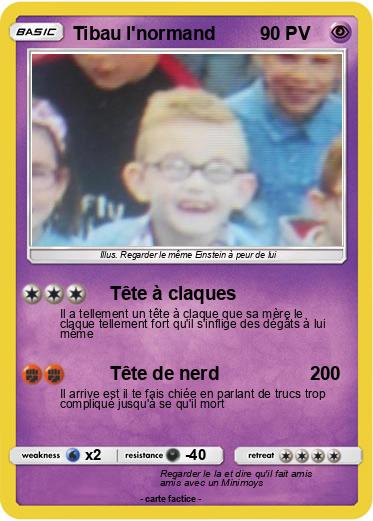 Pokemon Tibau l'normand