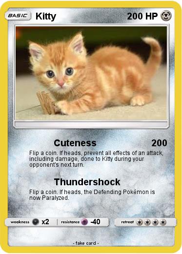 Pokemon Kitty